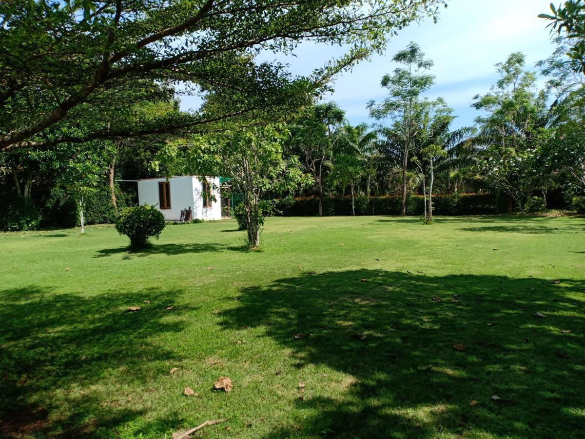 Mem Homestay Chumphon Eksteriør billede
