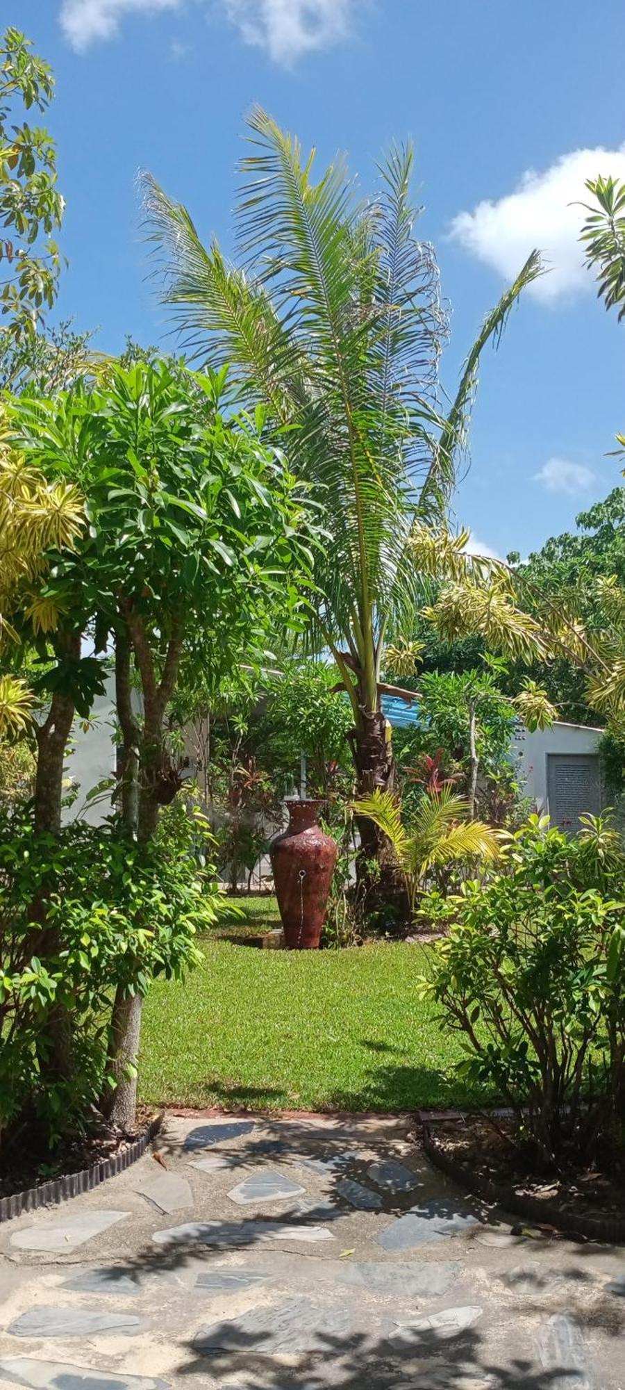 Mem Homestay Chumphon Eksteriør billede